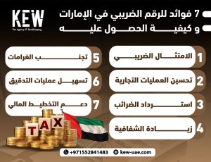 7 فوائد للرقم الضريبي في الإمارات و كيفية الحصول عليه